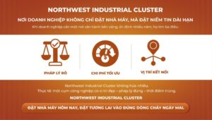 Vị trí cụm công nghiệp tây bắc đức hòa đông-10